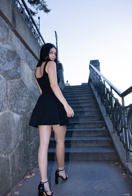 gata latina arte hd fotos