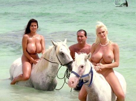 big tits beach free xxx galleries