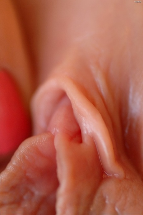 sexo no escritório xxx exclusivo arquivo